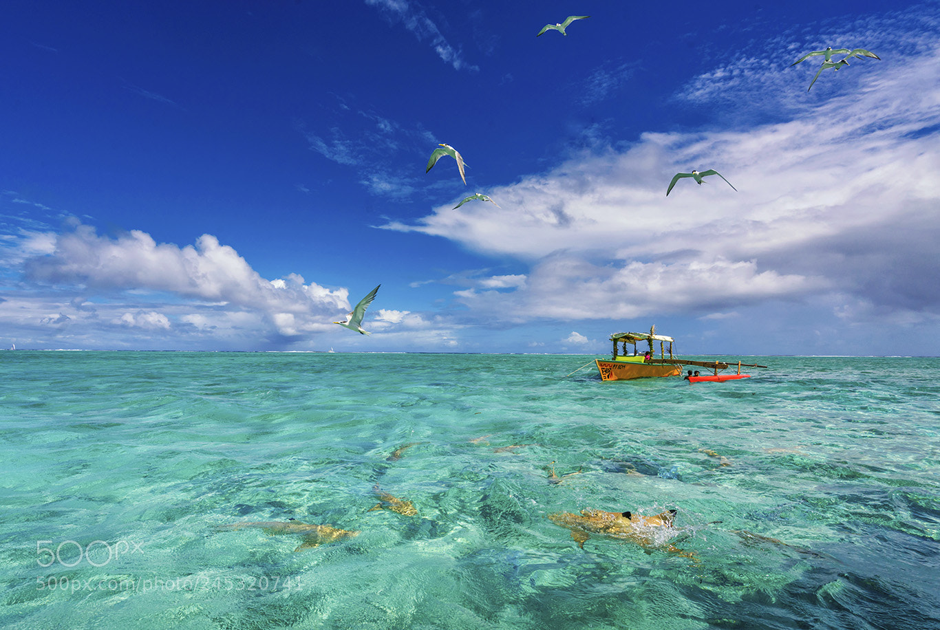 Sony a7R II sample photo. Sky and sea photography