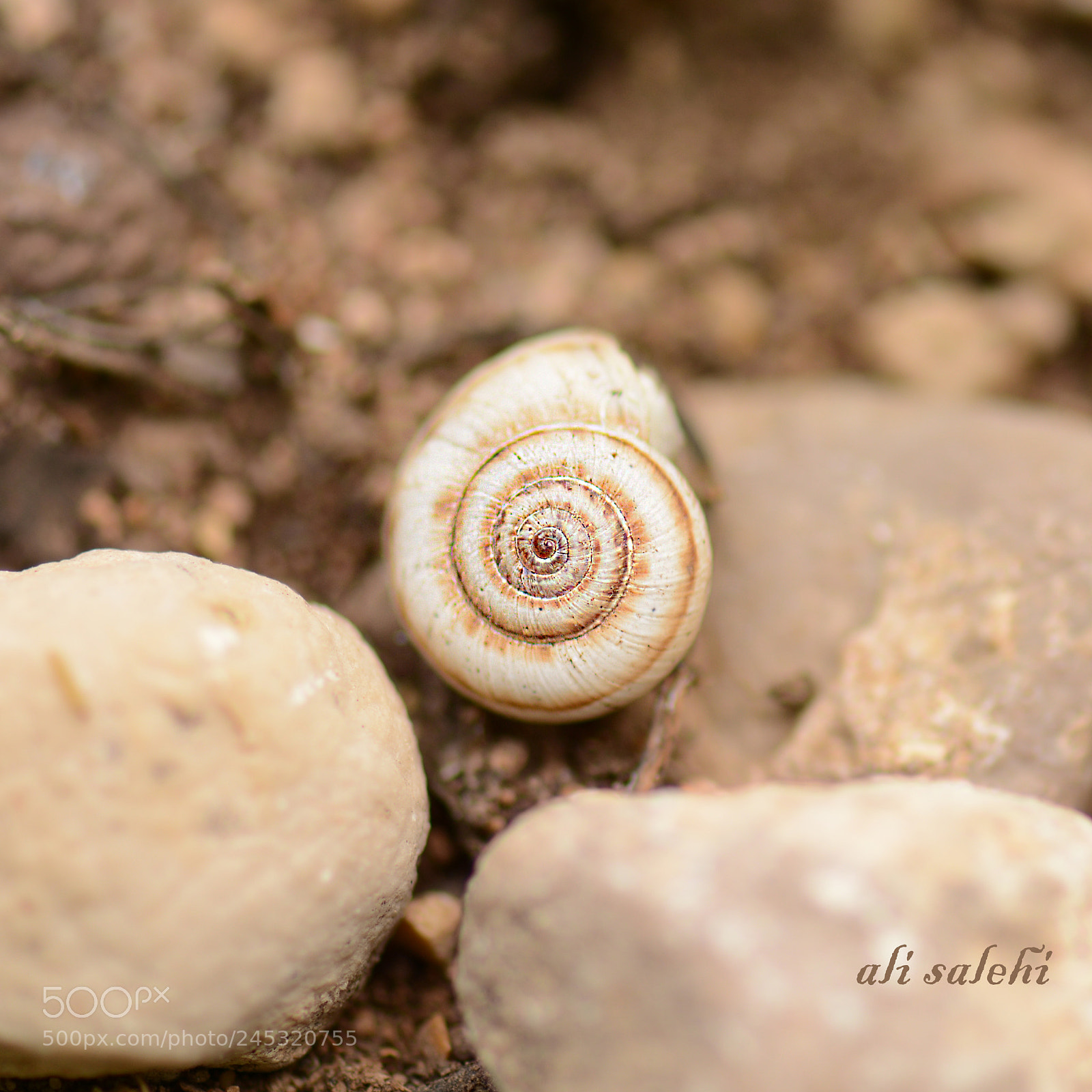 Nikon D7100 sample photo. Das photography