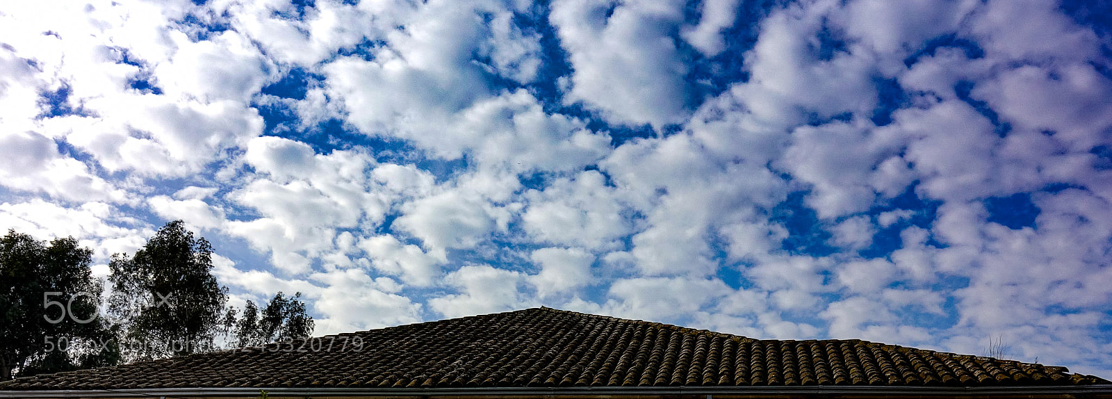 Sony DSC-RX100M5 sample photo. The roof photography
