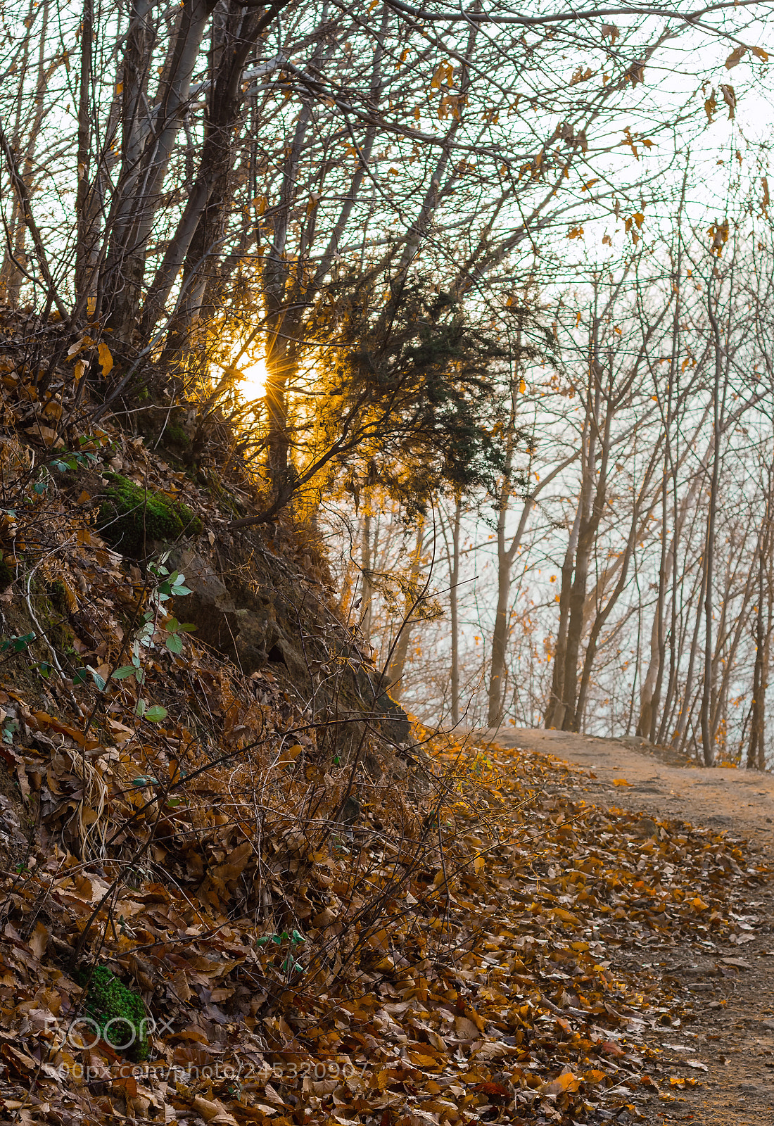 Nikon D7200 sample photo. On the way photography