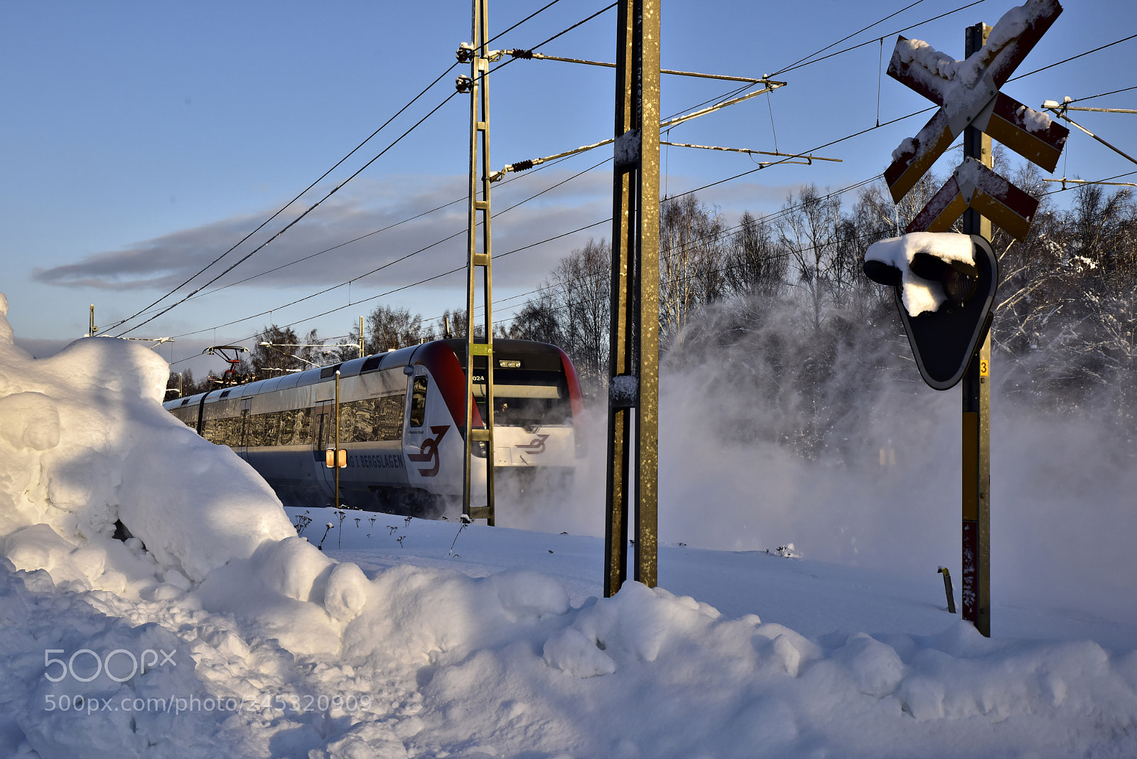 Nikon D810 sample photo. Winter train photography