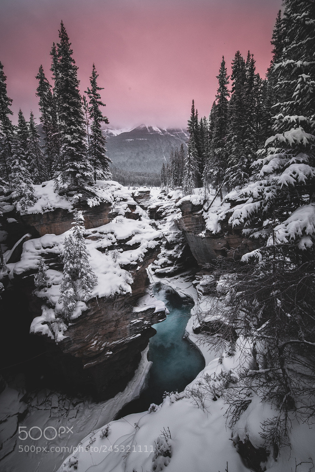 Sony a7R II sample photo. Ohhhhhh canada ? photography