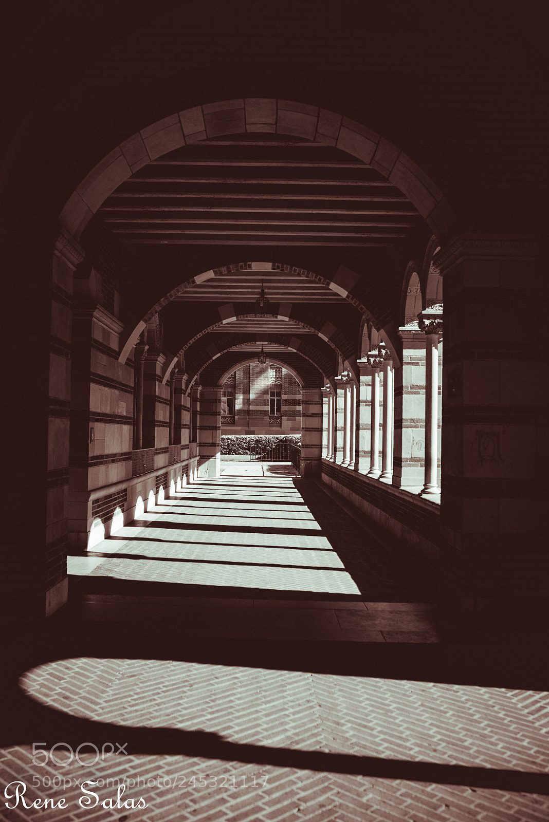 Nikon D810 sample photo. Walkway1 photography
