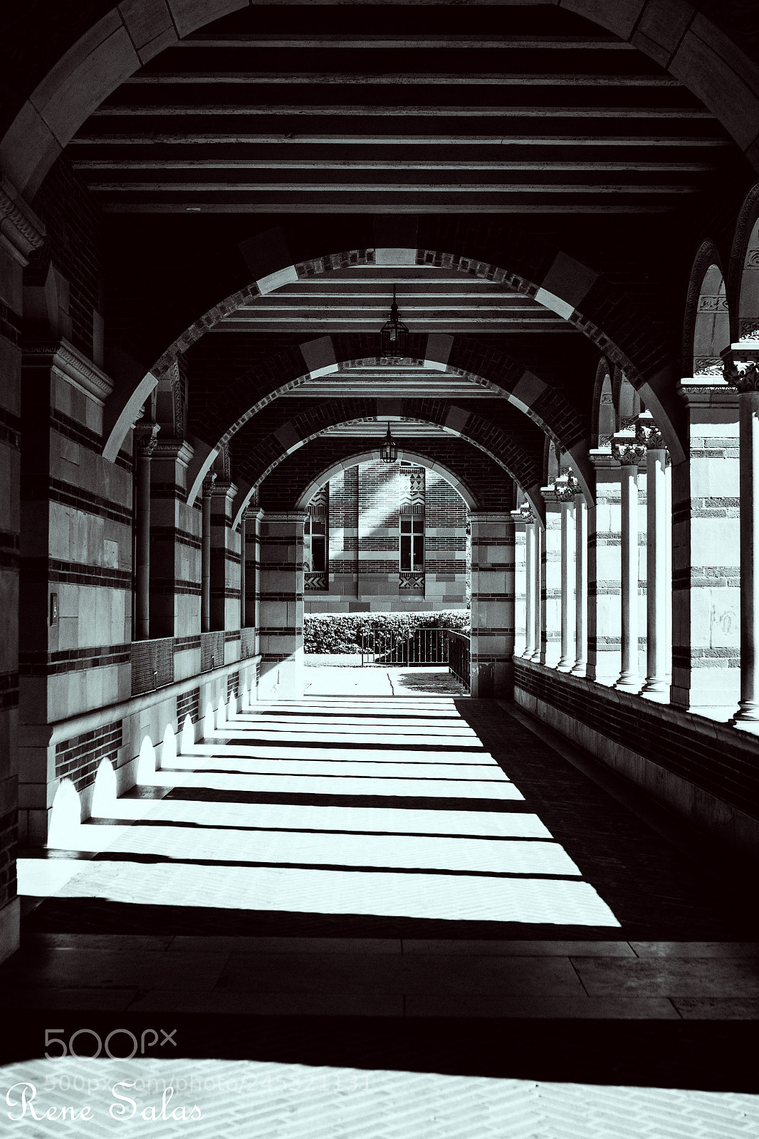 Nikon D810 sample photo. Walkway2 photography