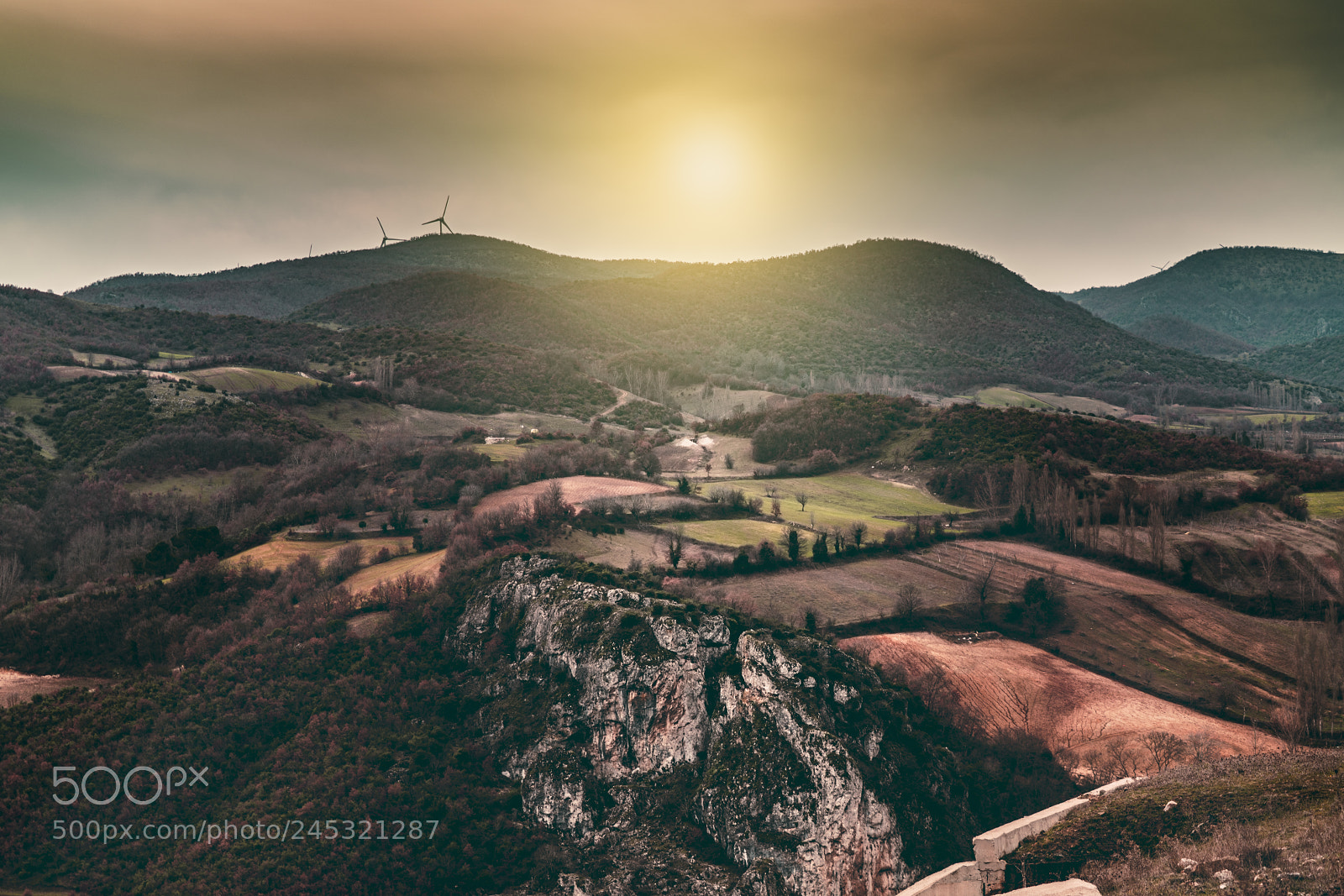 Sony a7R II sample photo. Natural world photography