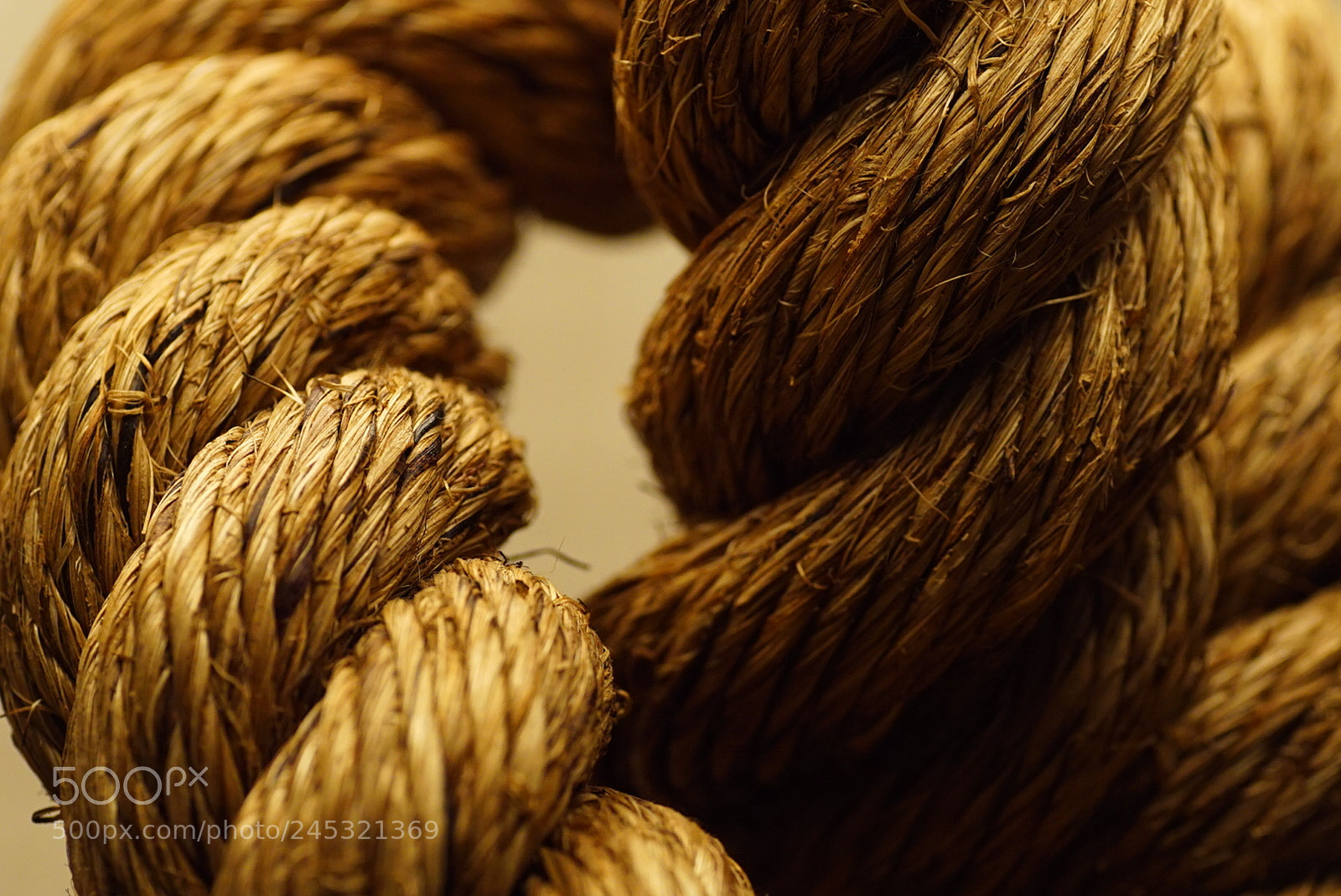 Sony a7S sample photo. Untitled photography