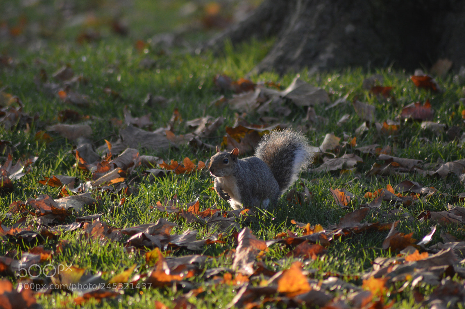 Nikon D3200 sample photo. Untitled photography