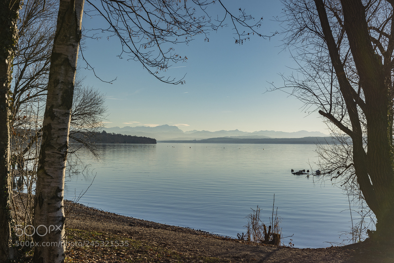 Nikon D5200 sample photo. Sunny winter day at photography