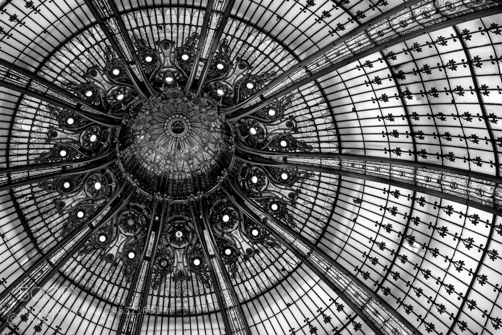 Nikon D800 sample photo. Under the net back2black photography