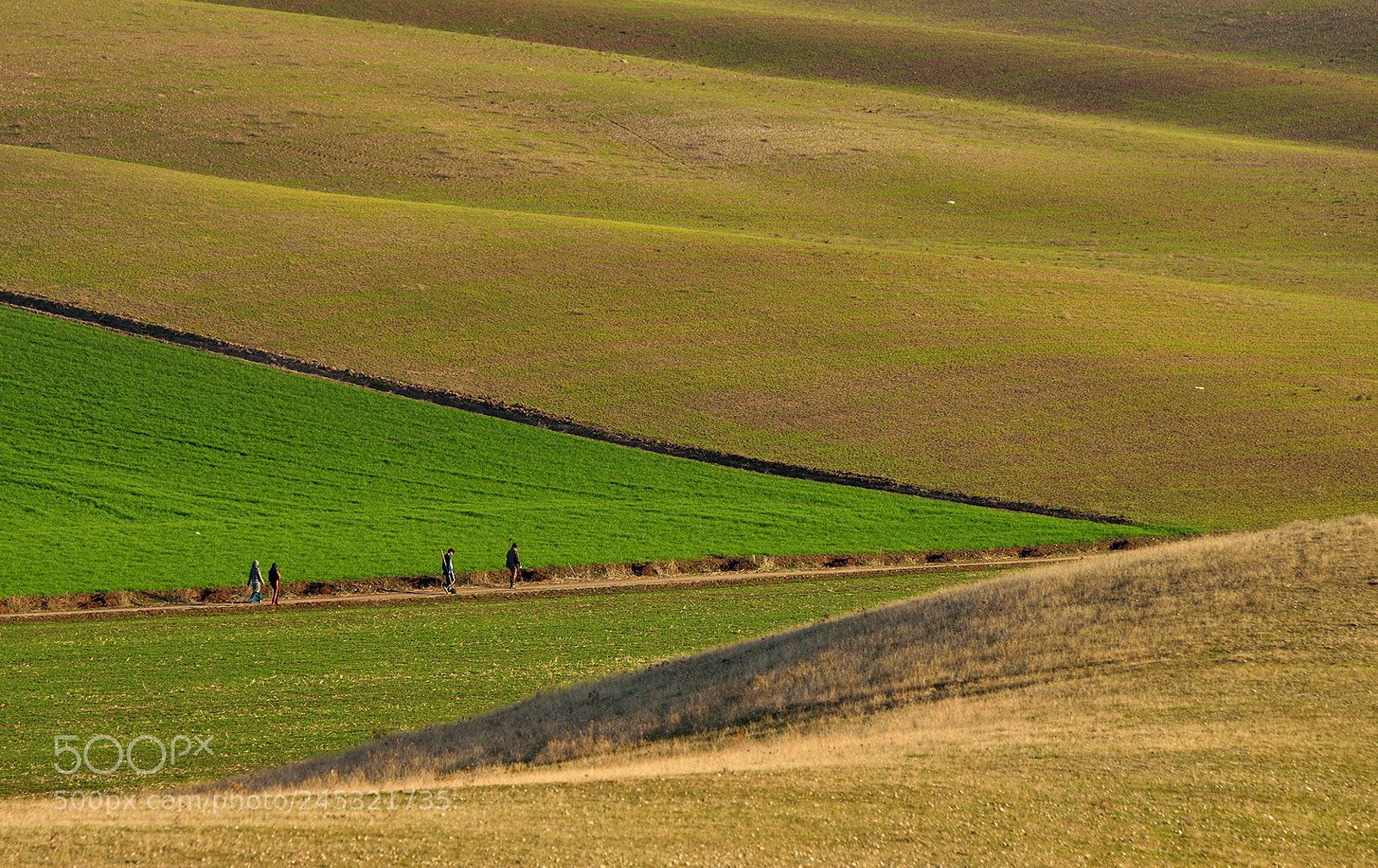 Nikon D800E sample photo. Ber bi kar ve photography