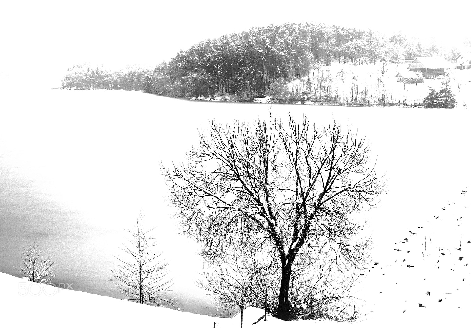 Nikon D5100 sample photo. Winter 2018 photography
