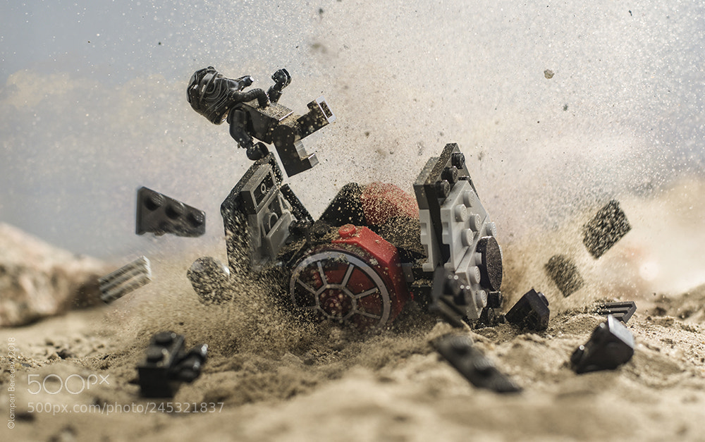 Nikon D7100 sample photo. Almost a perfect landing photography