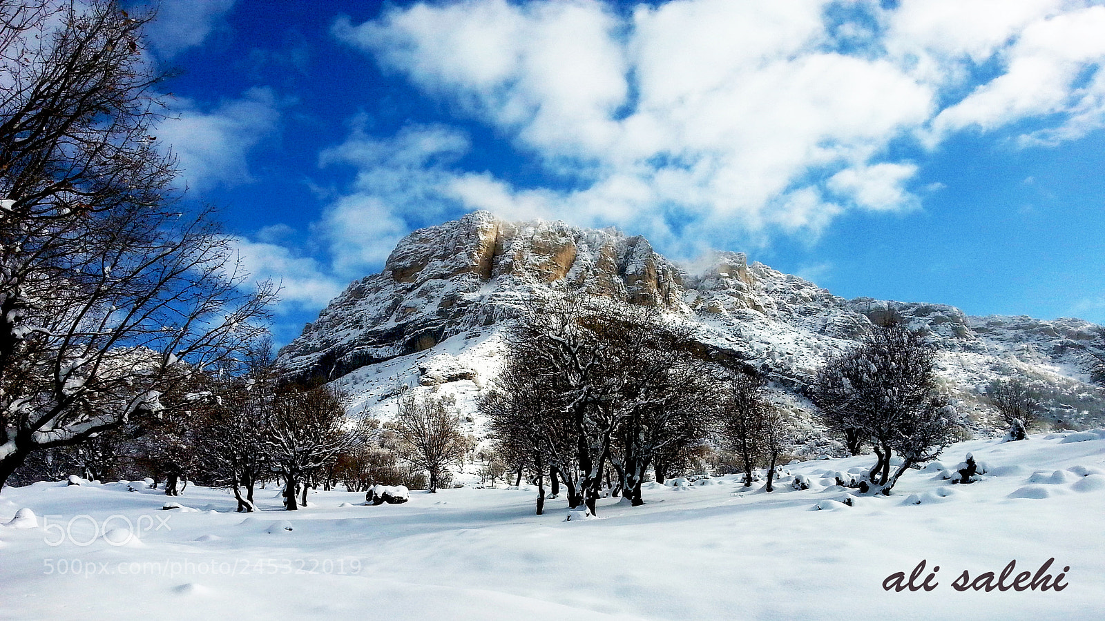 Samsung Galaxy S3 sample photo. Samsung gt i(x) photography