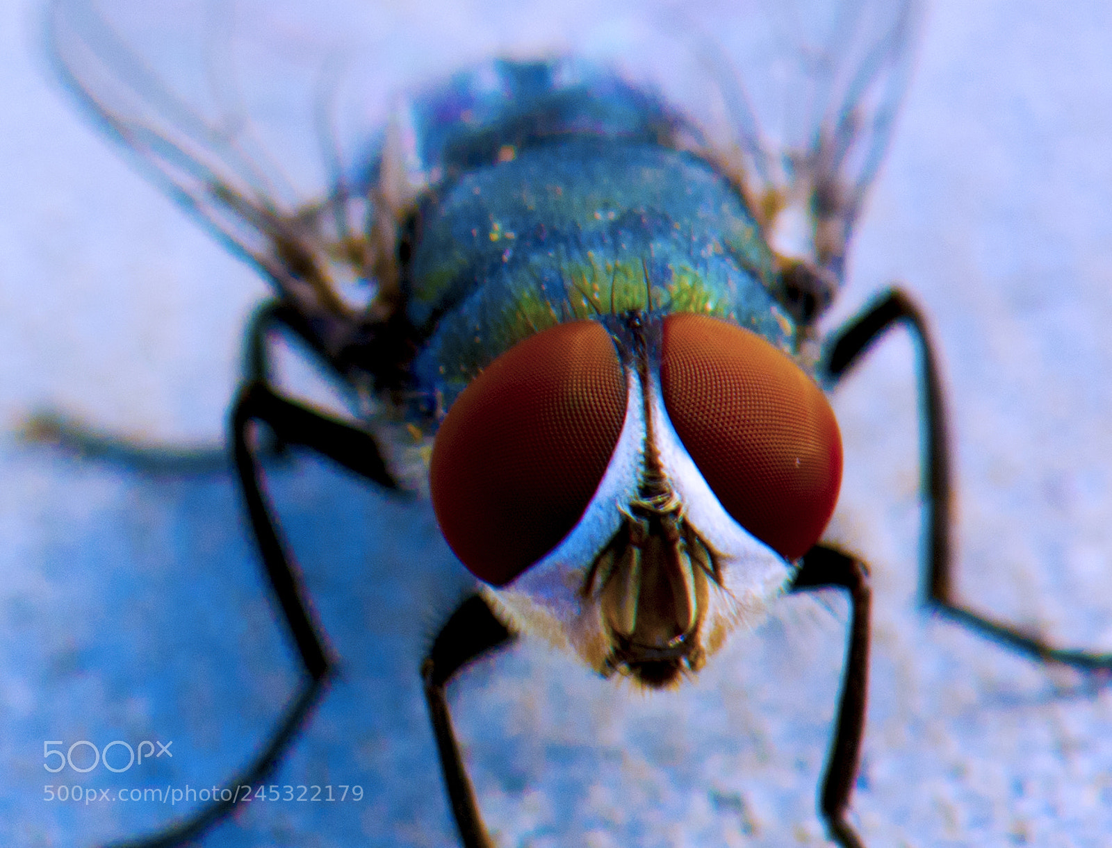 Nikon D7100 sample photo. Das photography