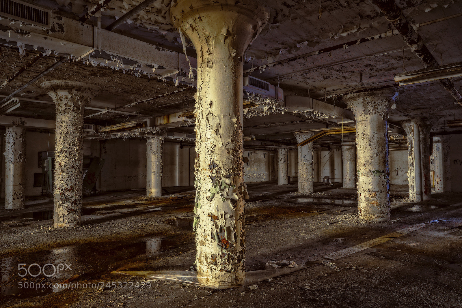 Sony a7R sample photo. Pillers photography