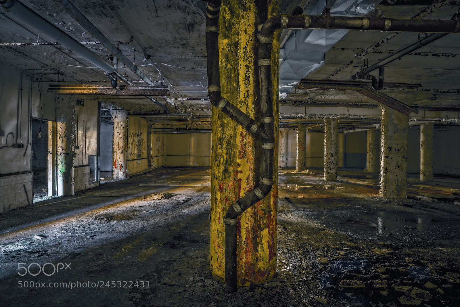 Sony a7R sample photo. Piller photography
