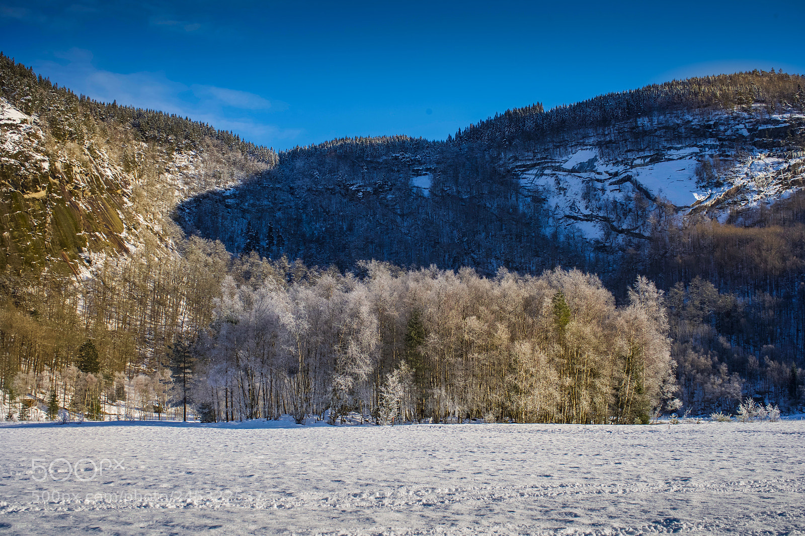 Sony a7 II sample photo. Two sides photography