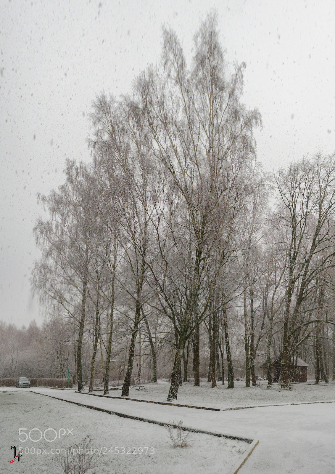 Nikon D5100 sample photo. Snow photography