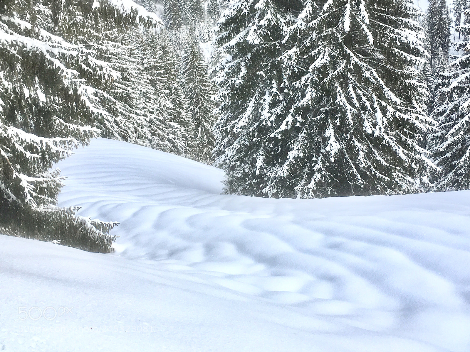 Apple iPhone SE sample photo. Snow art photography