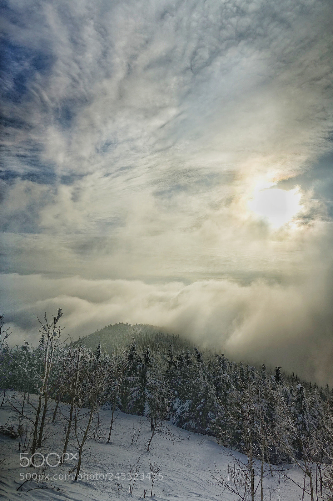 Sony Cyber-shot DSC-RX10 III sample photo. Over the fog photography
