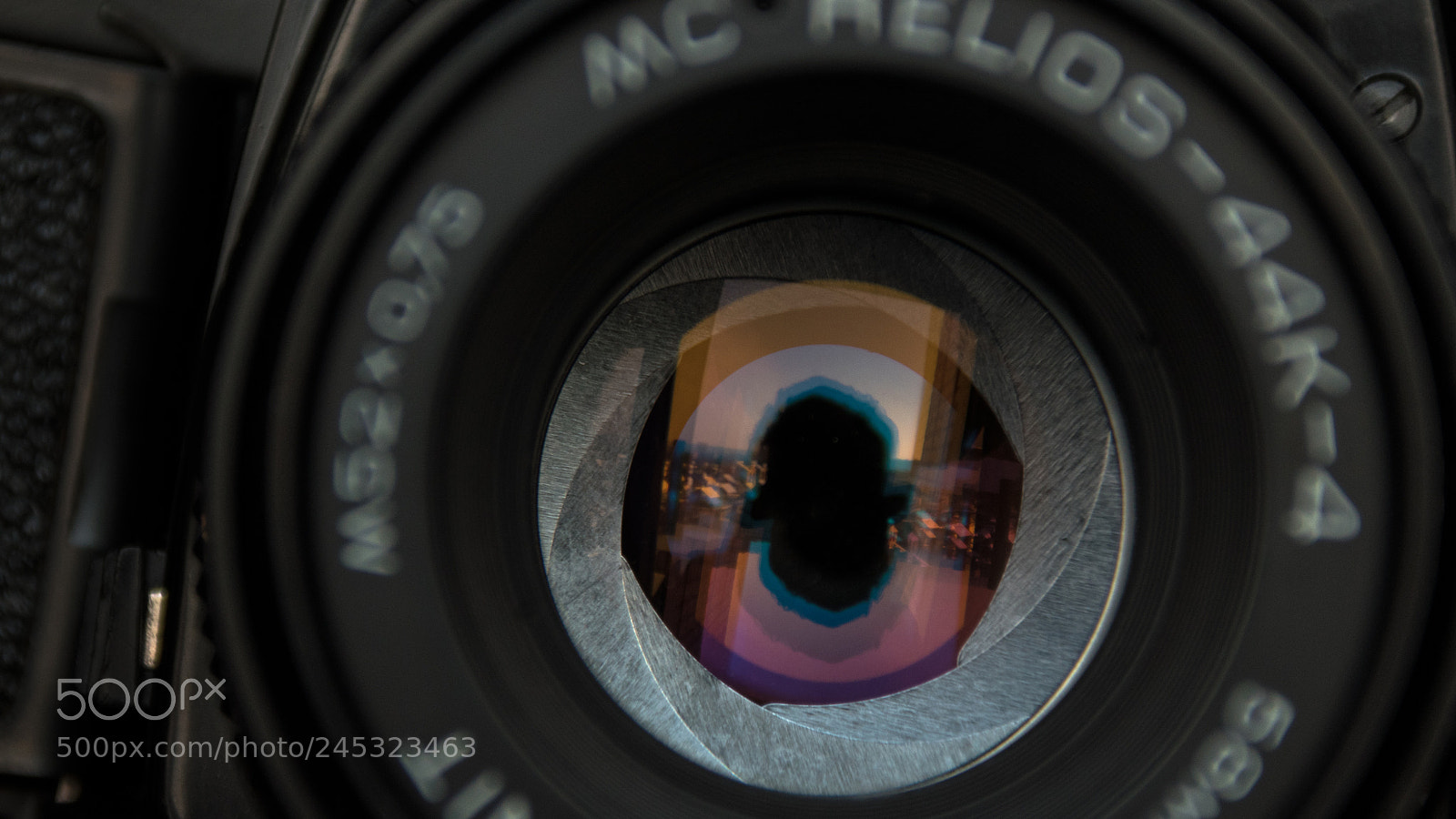 Nikon D5500 sample photo. Untitled photography