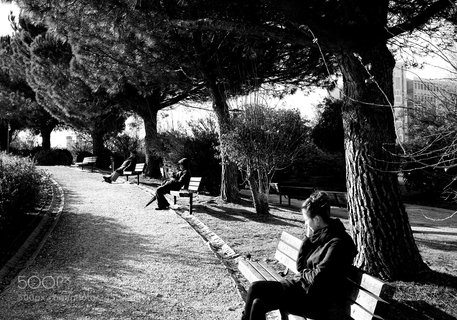 Fujifilm FinePix X100 sample photo. Three benches photography