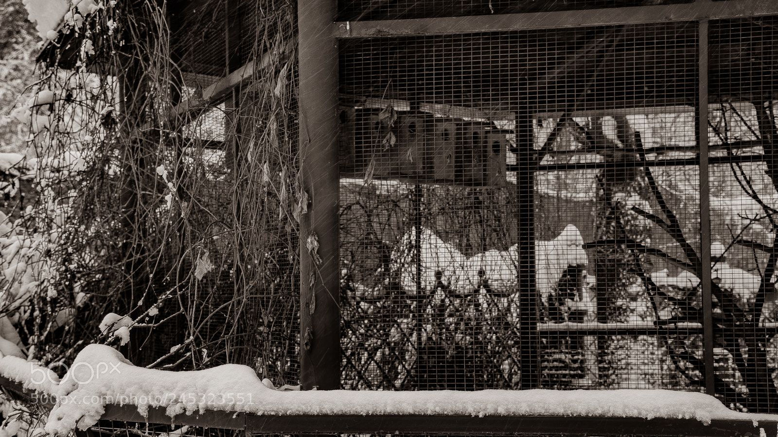 Nikon D7200 sample photo. Home photography