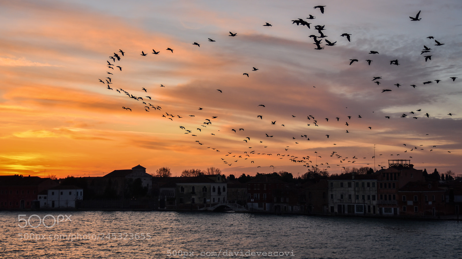 Nikon D7200 sample photo. Venezia photography