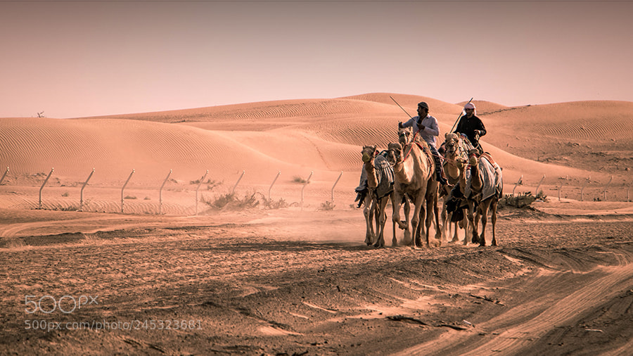 Canon EOS 760D (EOS Rebel T6s / EOS 8000D) sample photo. Arabian lifestyle photography