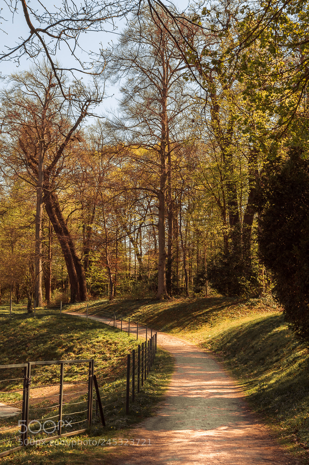 Nikon D3200 sample photo. Walking in the schonbrun photography