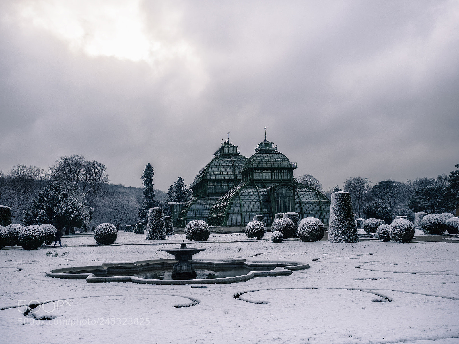 Olympus OM-D E-M5 II sample photo. The architect of winter photography
