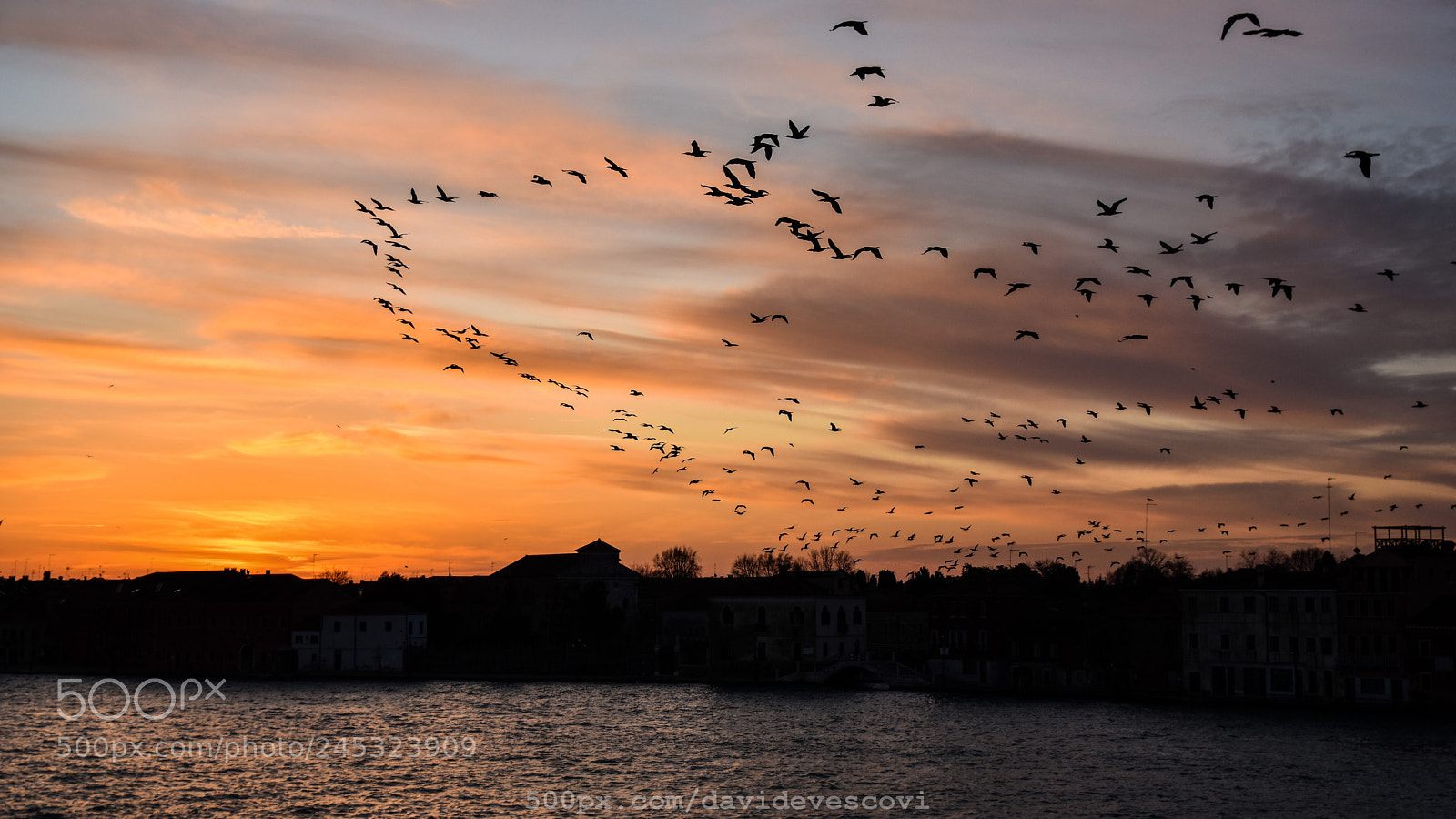 Nikon D7200 sample photo. Venezia photography