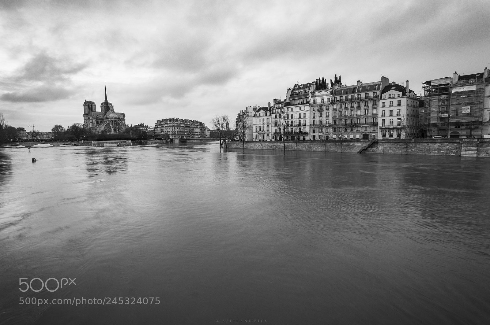 Sony Alpha NEX-6 sample photo. La crue, notre dame photography