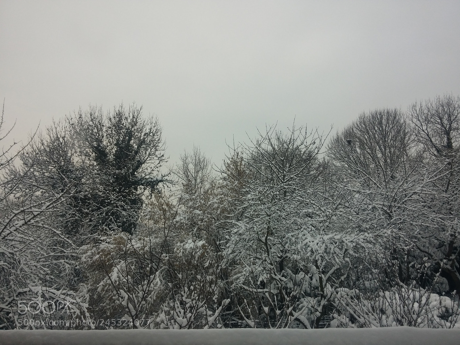 LG G2 sample photo. S.1 photography