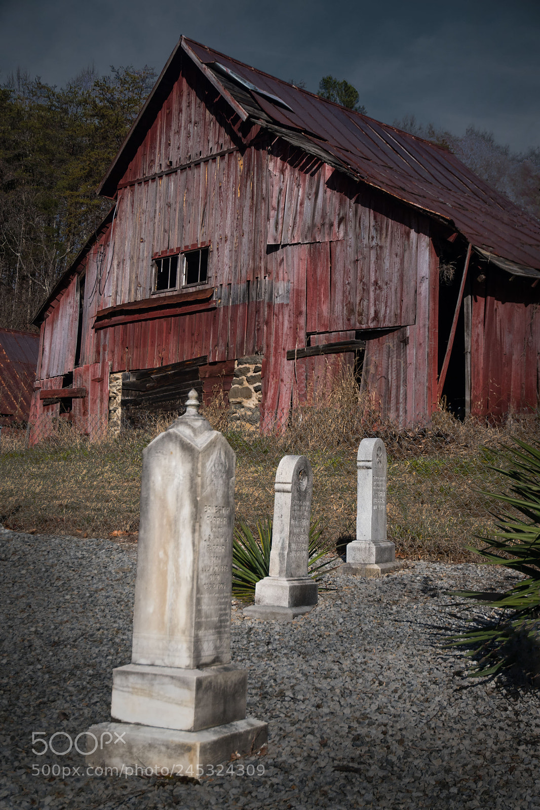 Nikon D500 sample photo. True family farm photography
