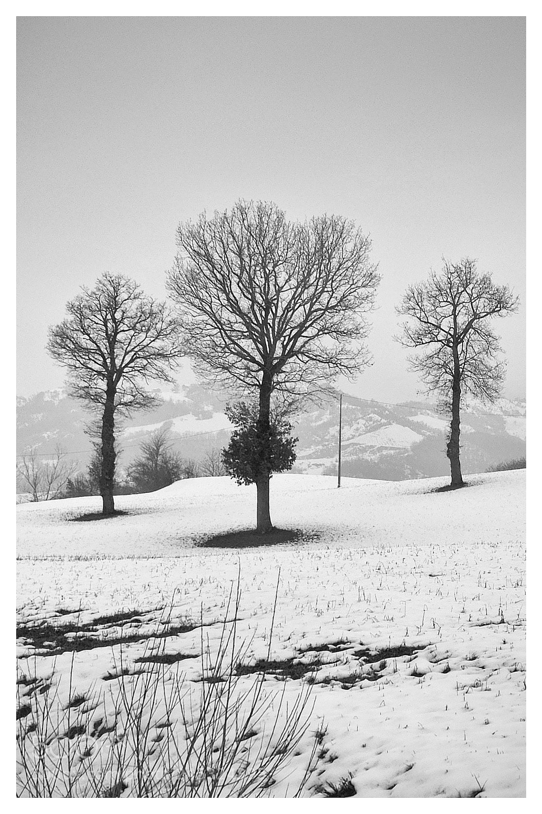 Fujifilm X-A10 sample photo. Snow... photography
