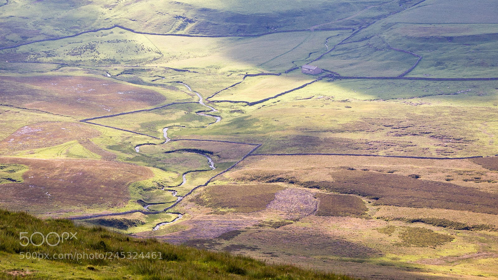 Nikon D50 sample photo. Yorkshire dales moor photography