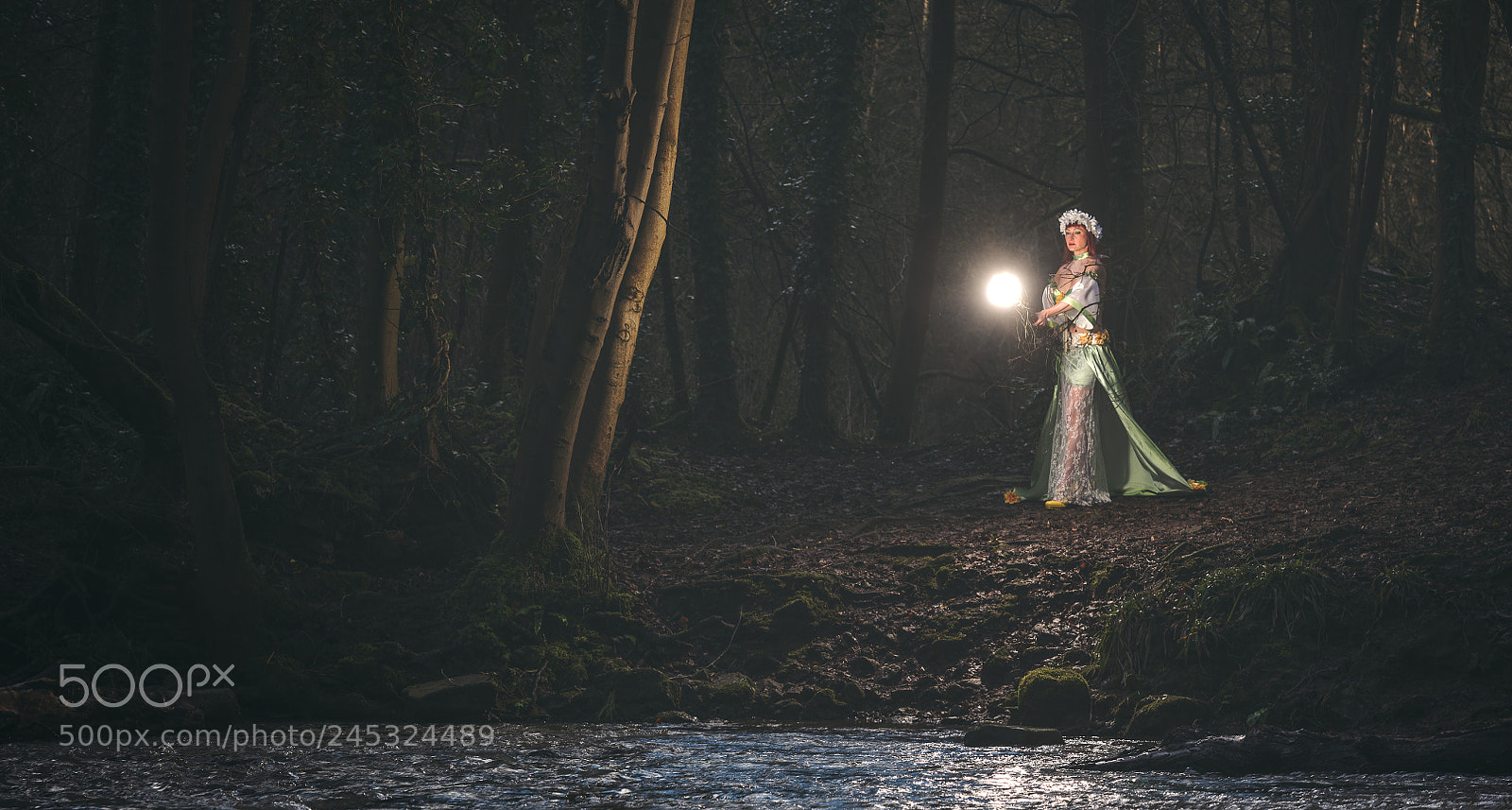 Nikon D850 sample photo. Spring casts it spell photography