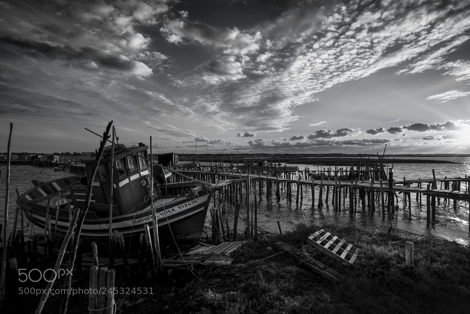 Leica M (Typ 240) sample photo. Carrasqueira photography