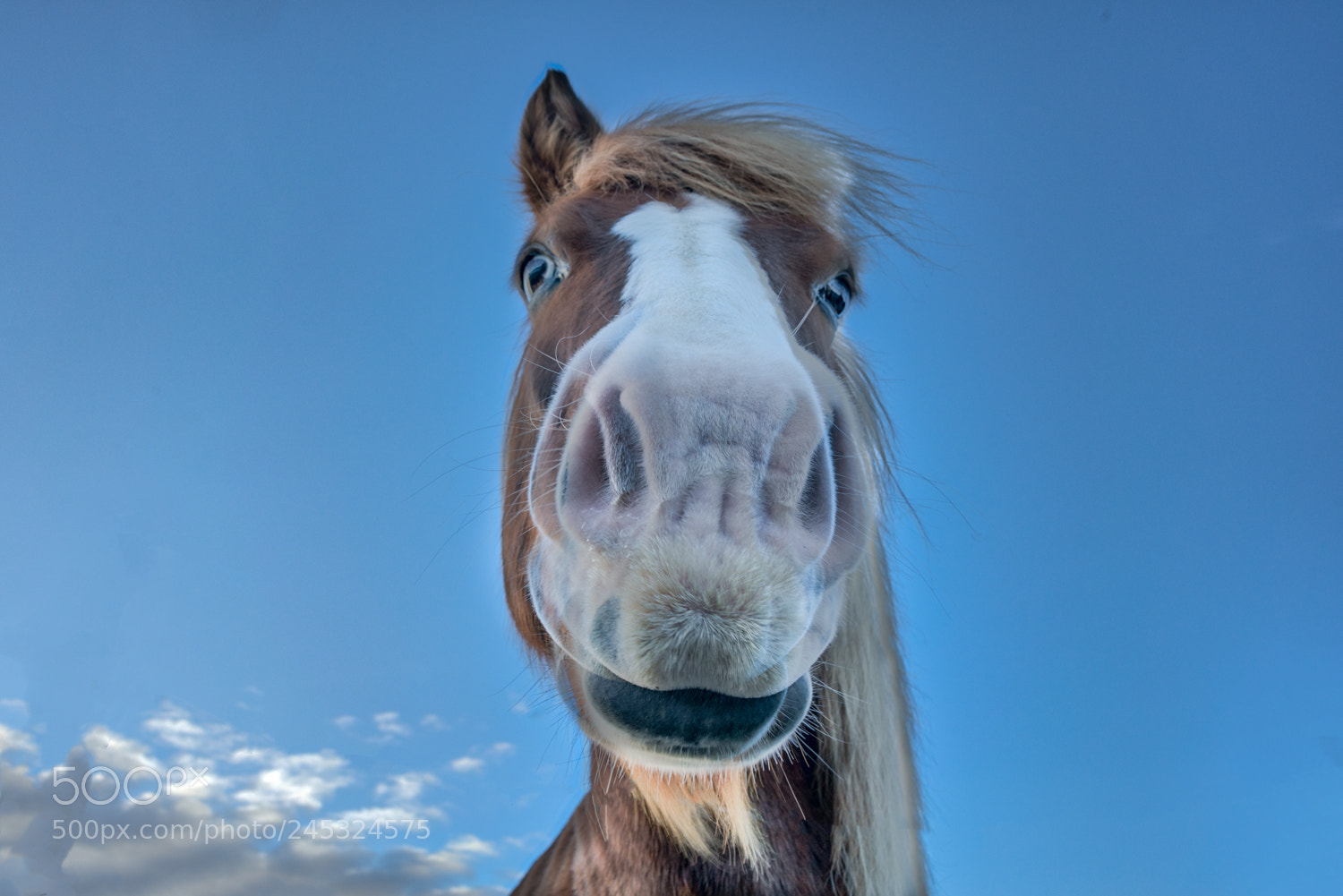 Sony a7R II sample photo. Happy face photography