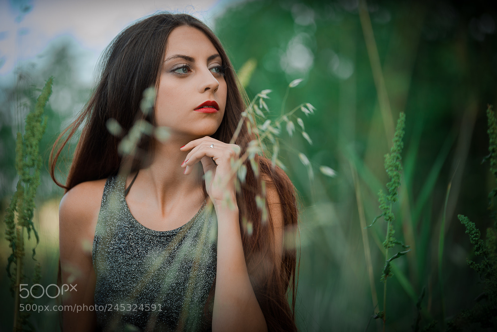 Nikon D810 sample photo. Sasa photography