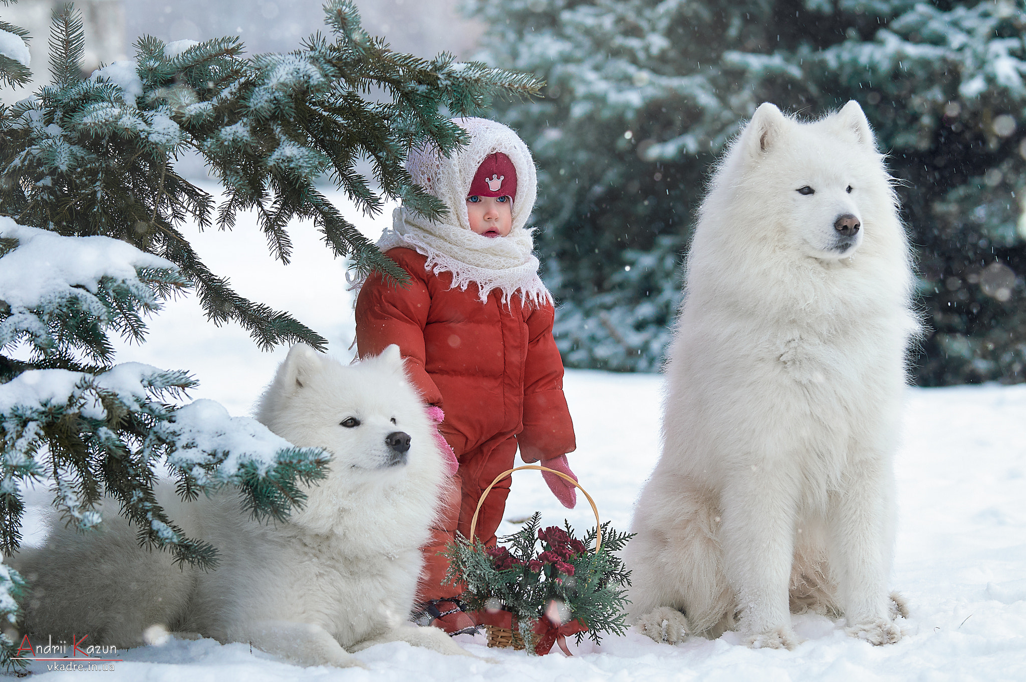 Nikon AF-S Nikkor 70-200mm F2.8G ED VR sample photo. Little girl with two white dogs photography
