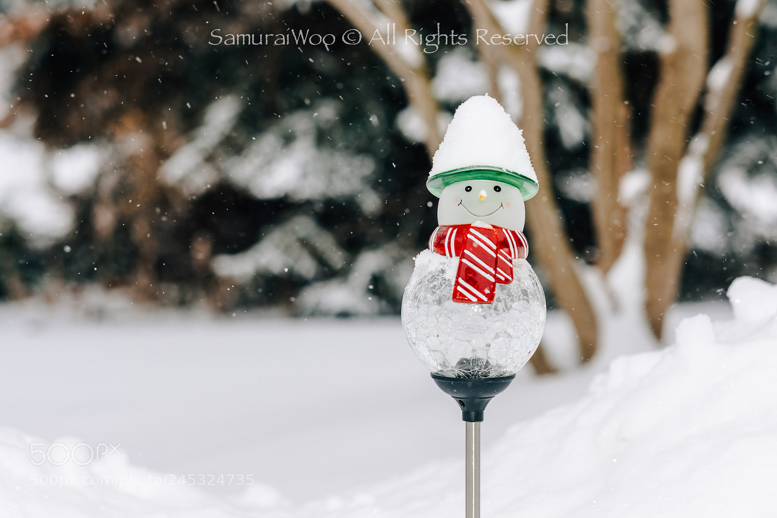 Nikon D800 sample photo. Cute snowman photography