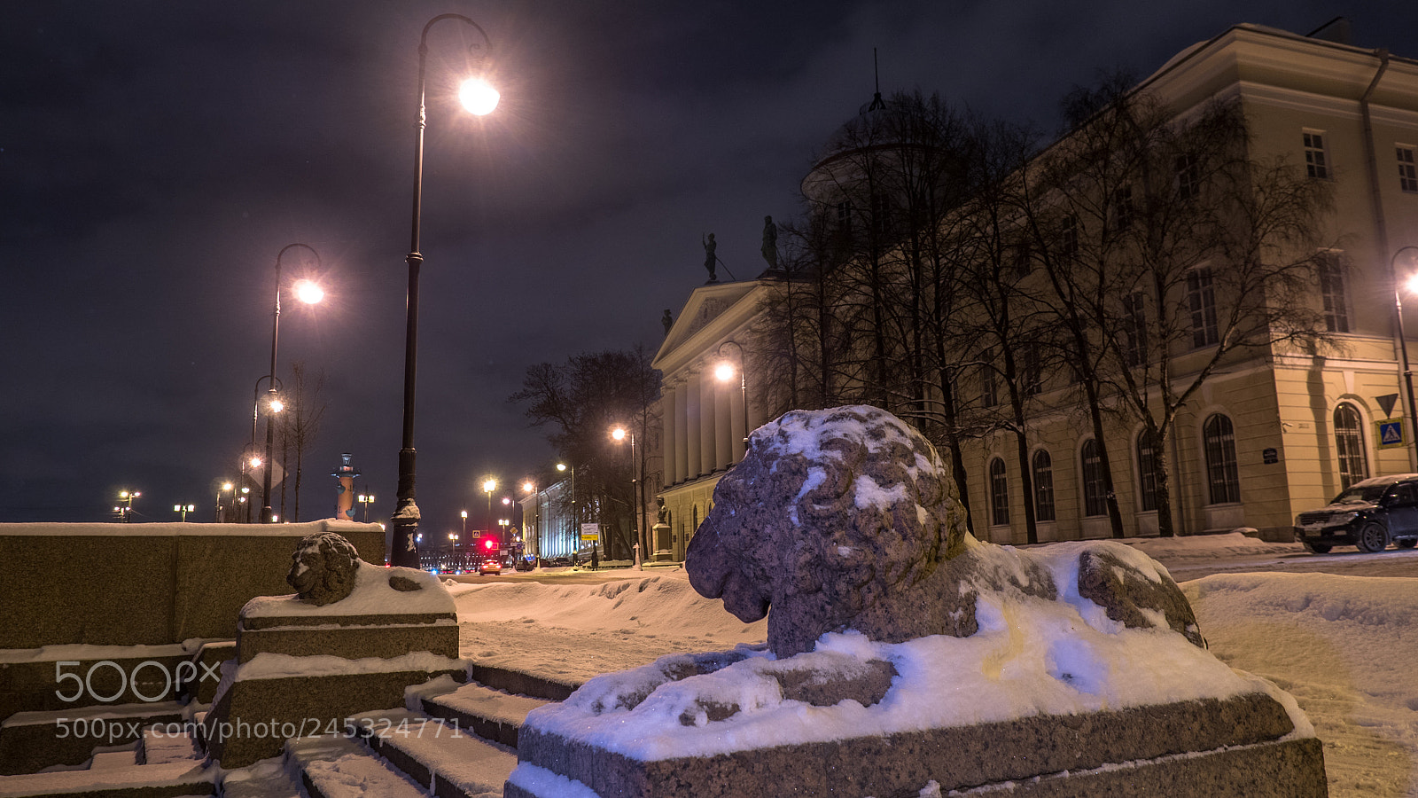 Olympus OM-D E-M5 II sample photo. The lions photography