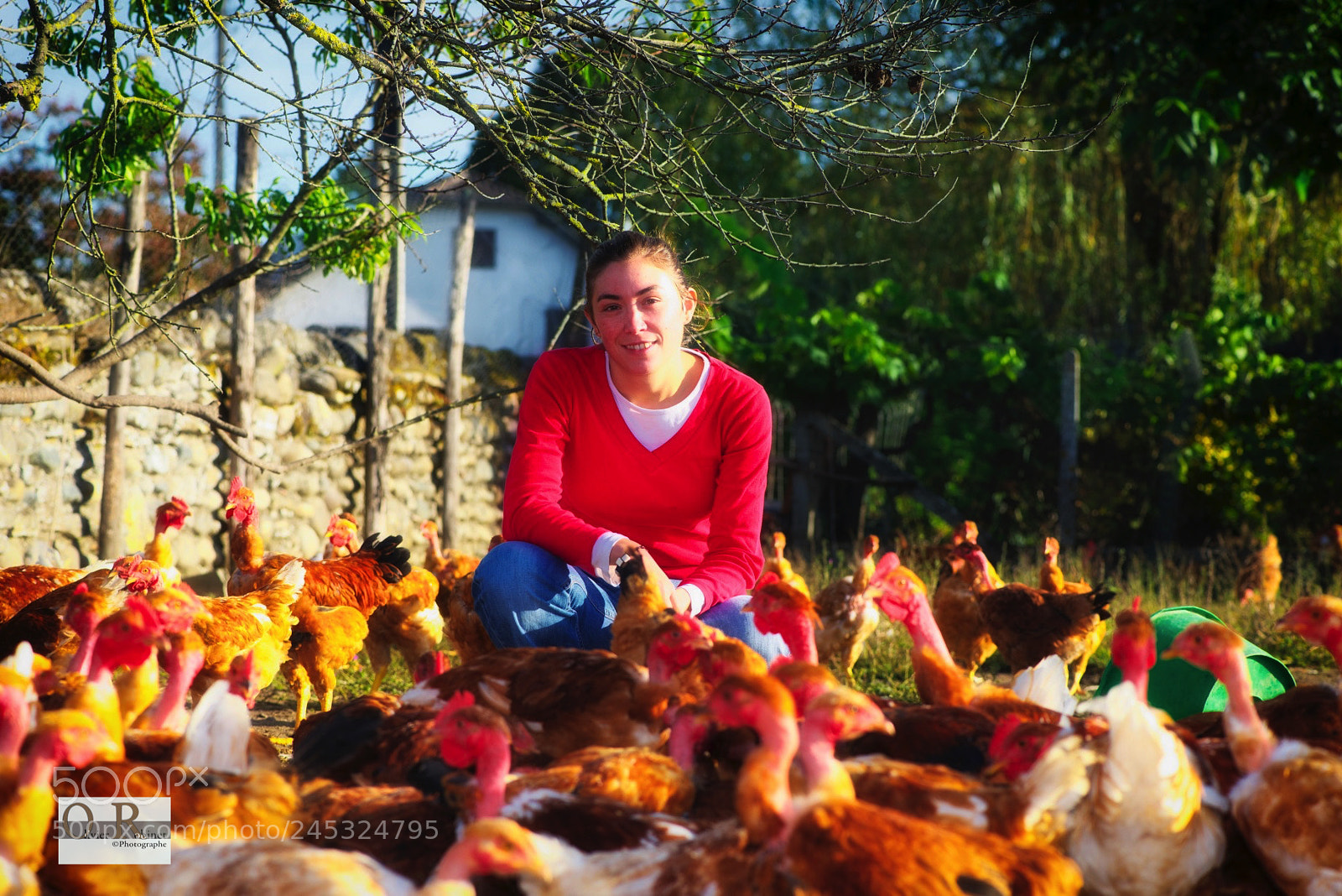 Nikon D800 sample photo. Caroline sahouret eleveuse poulet photography