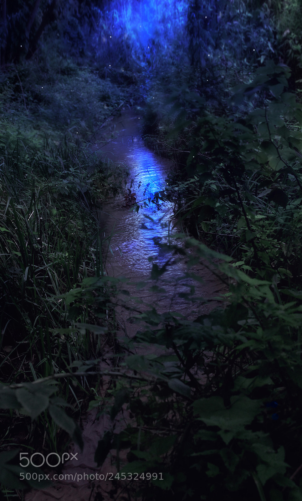 Canon EOS 650D (EOS Rebel T4i / EOS Kiss X6i) sample photo. Fairy photography