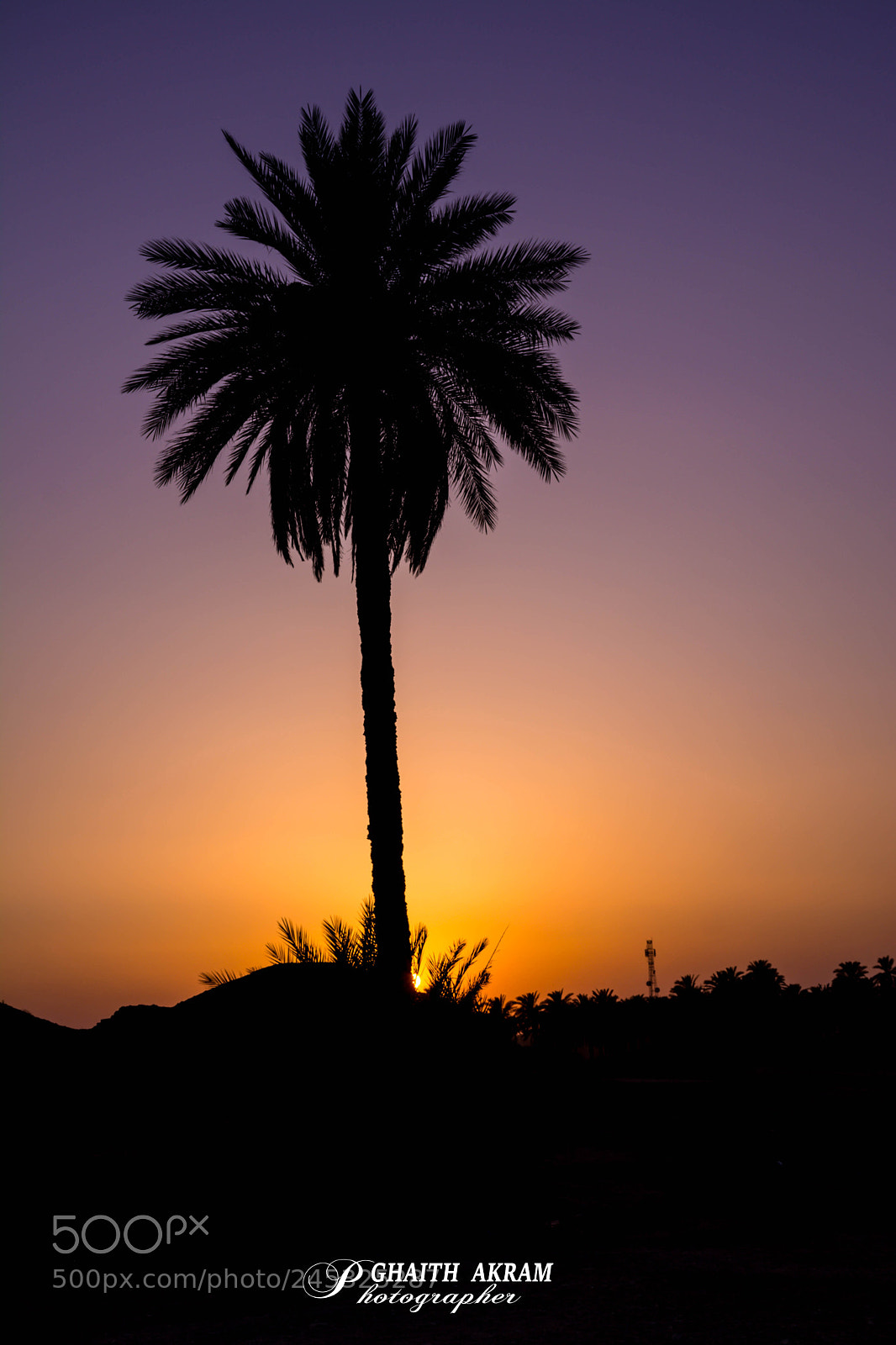 Nikon D5200 sample photo. Sunset photography