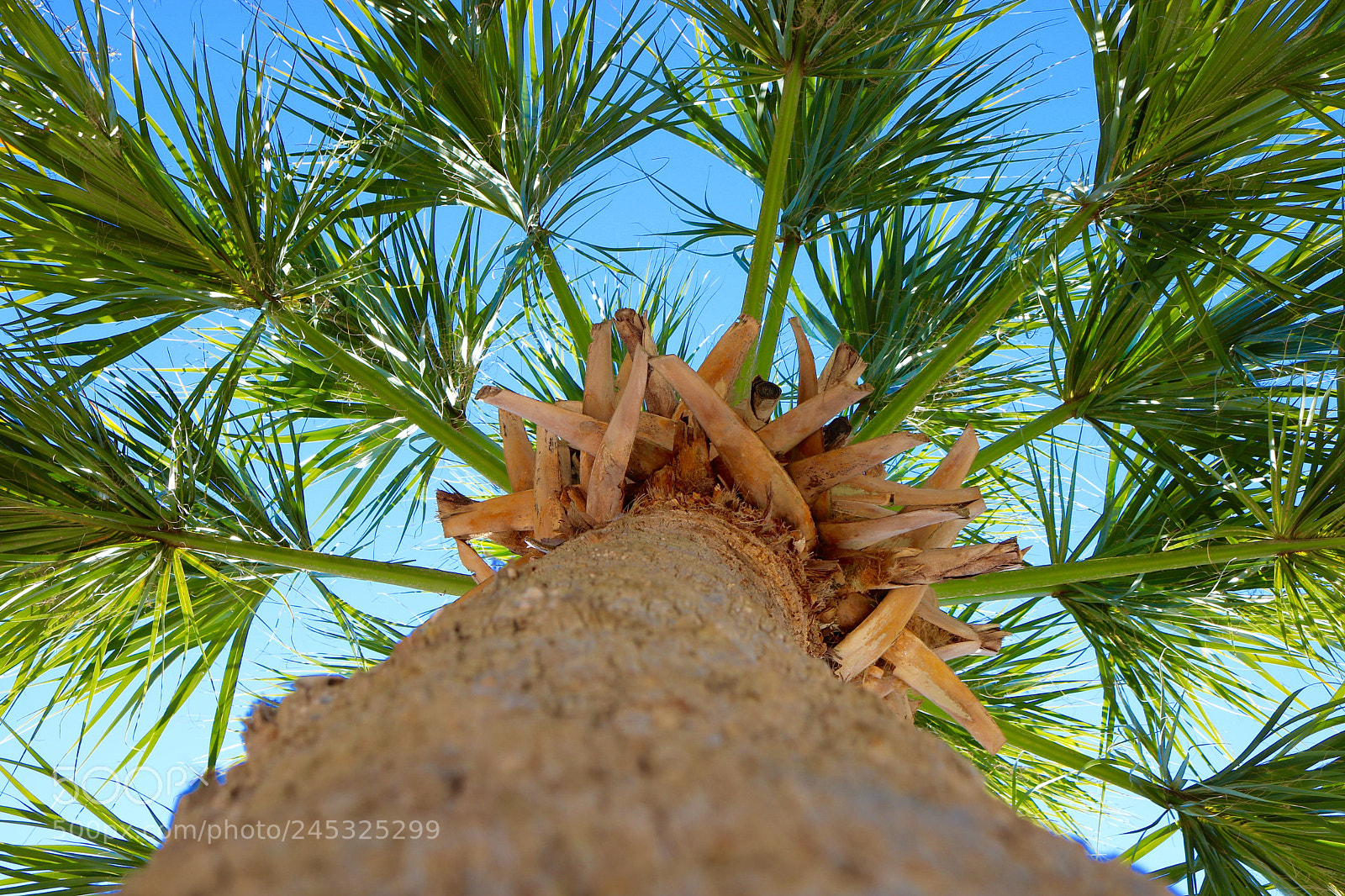 Canon EOS 750D (EOS Rebel T6i / EOS Kiss X8i) sample photo. Tampa bay - florida photography