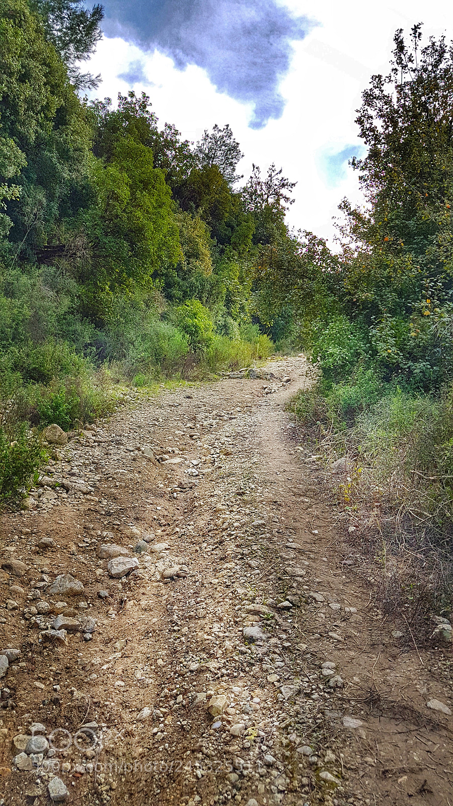 Samsung Galaxy S7 sample photo. Untitled photography