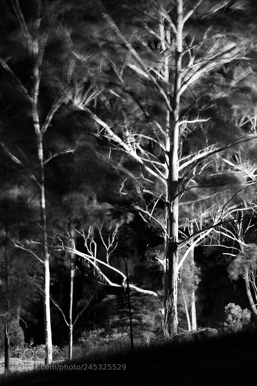 Canon EOS 650D (EOS Rebel T4i / EOS Kiss X6i) sample photo. Flooded gums photography